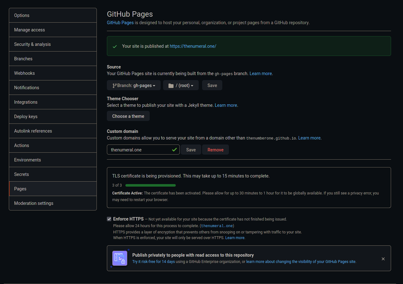 Github page settings of my repository with the custom domain field being set to thenumeral.one